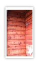 cedar 0120.JPG